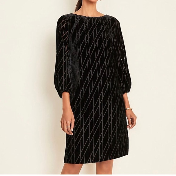 Ann Taylor Dresses & Skirts - Ann Taylor Velvet Shift Dress Sz.6